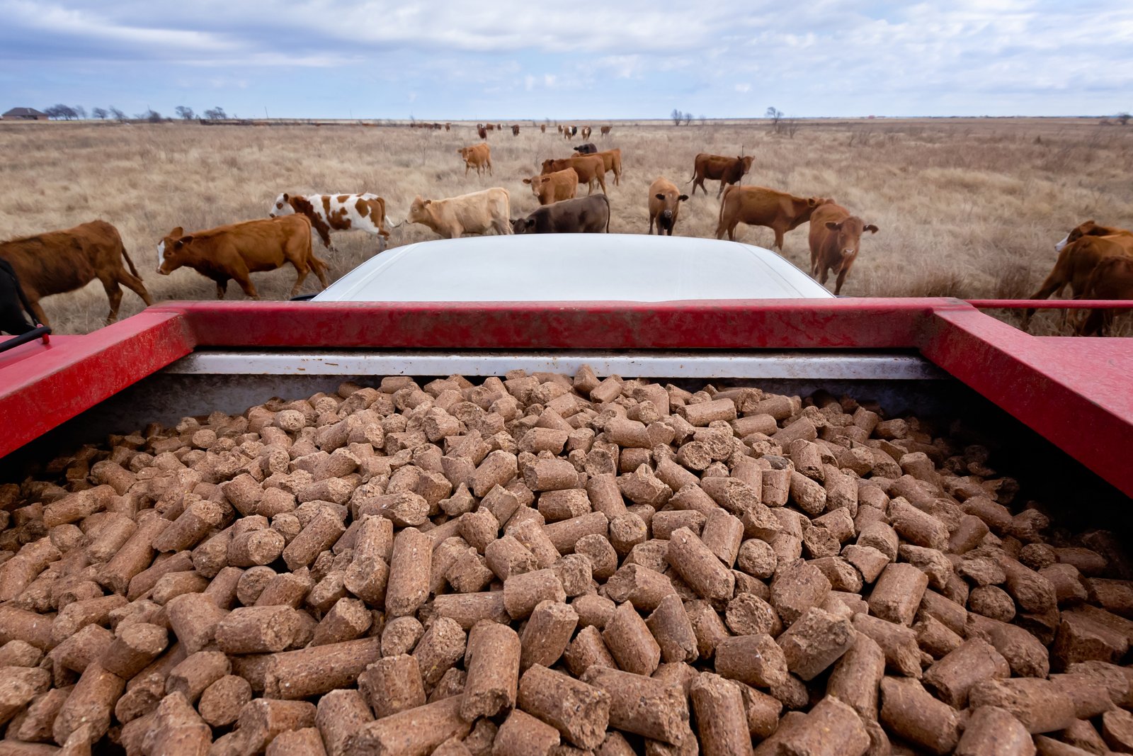 خدمة توصيل سريعة